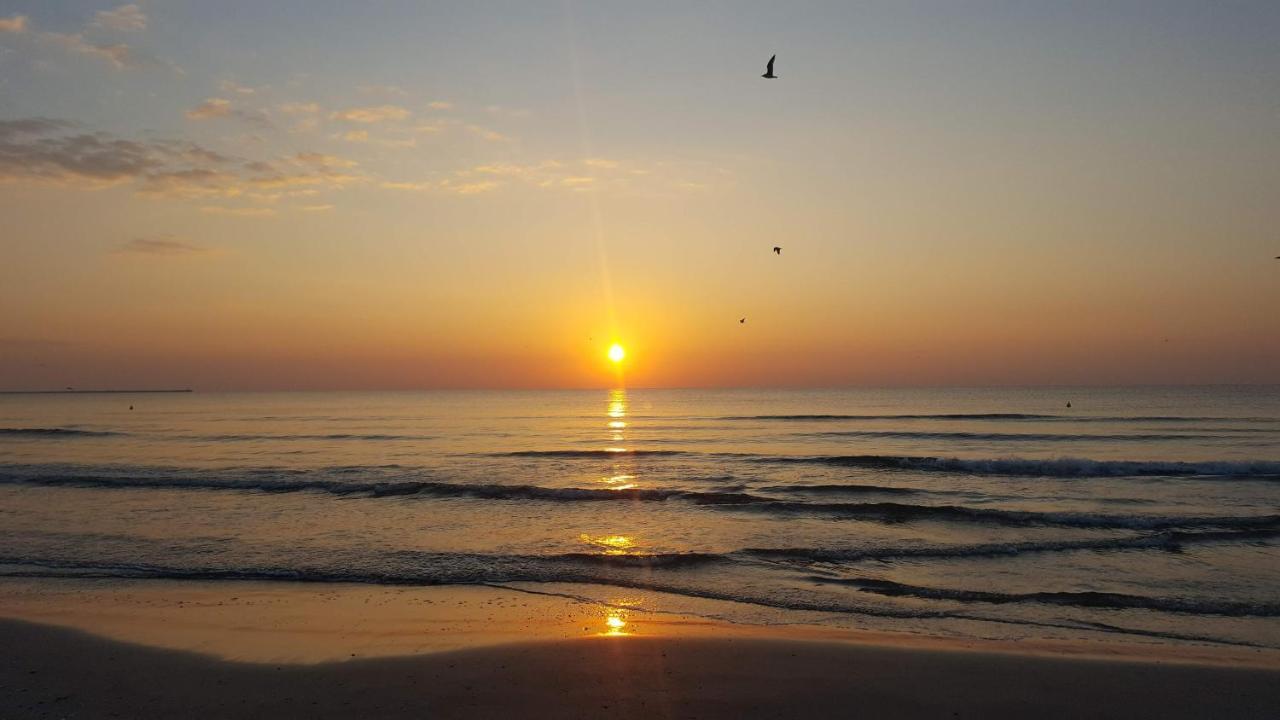 Sea North Apartament Mamaia Eksteriør billede